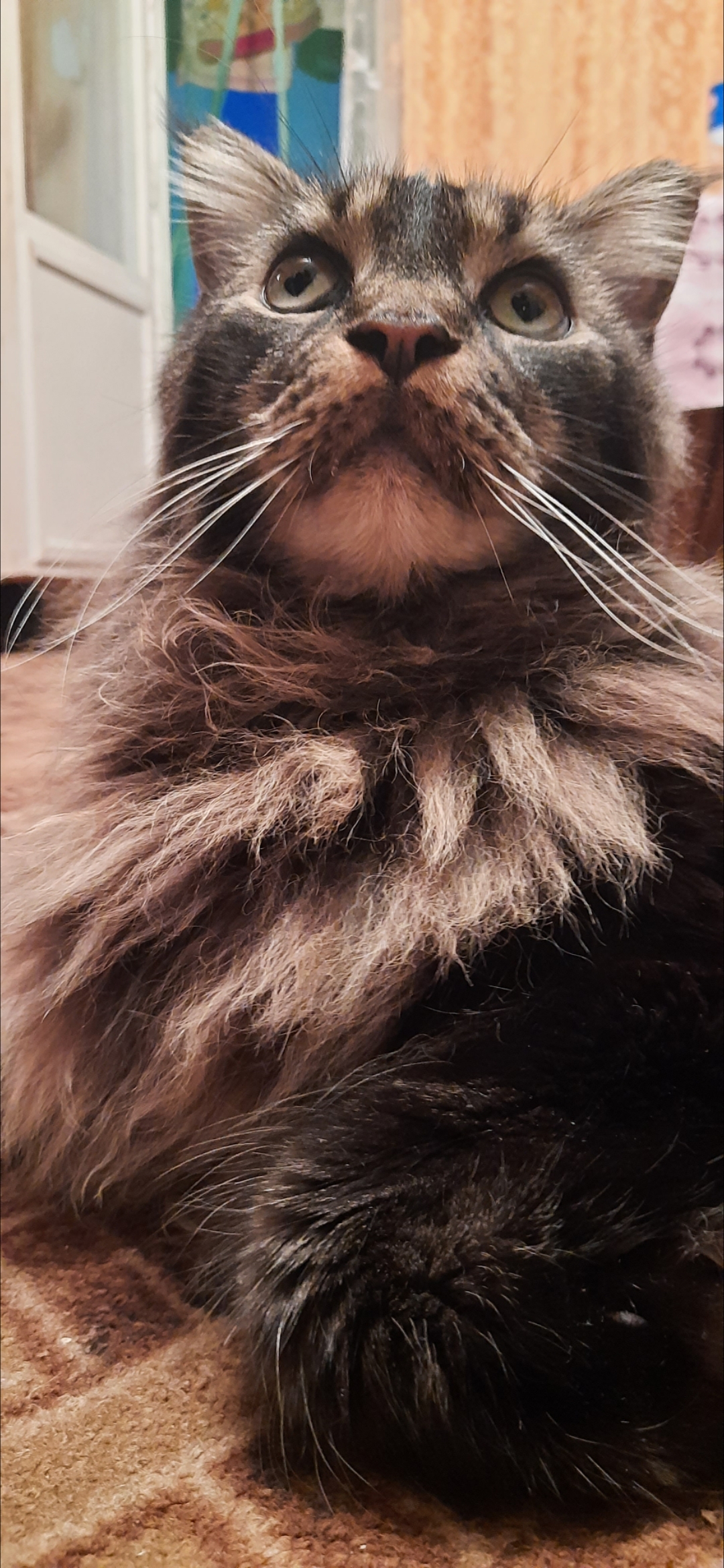 Мои домашние питомцы - Бодибилдинг форум AnabolicShops