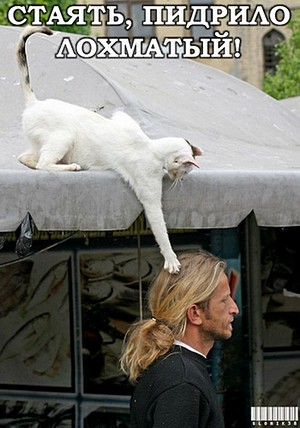 Курилка- разговоры на любые темы - Бодибилдинг форум AnabolicShops