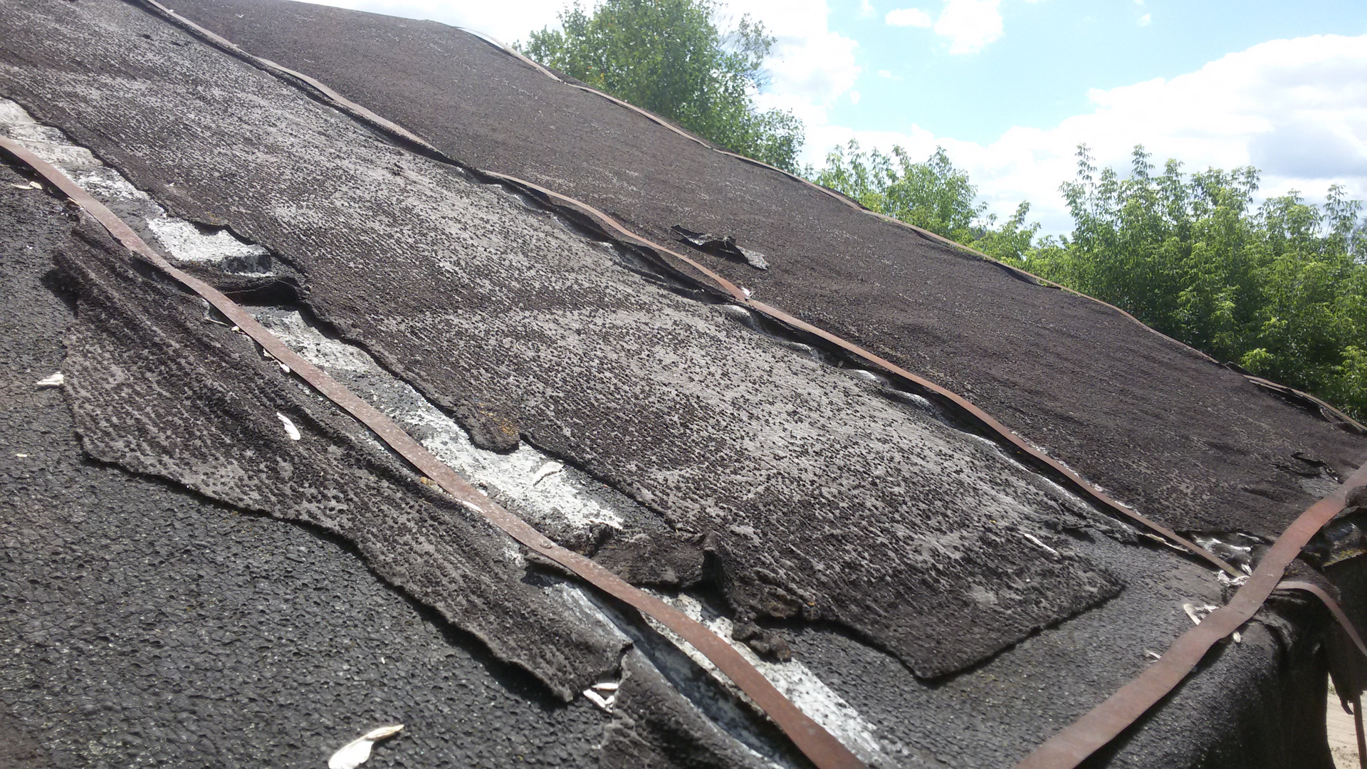 Ваш Первый  Курс, как и с чего начать (вопросы) - Бодибилдинг форум AnabolicShops