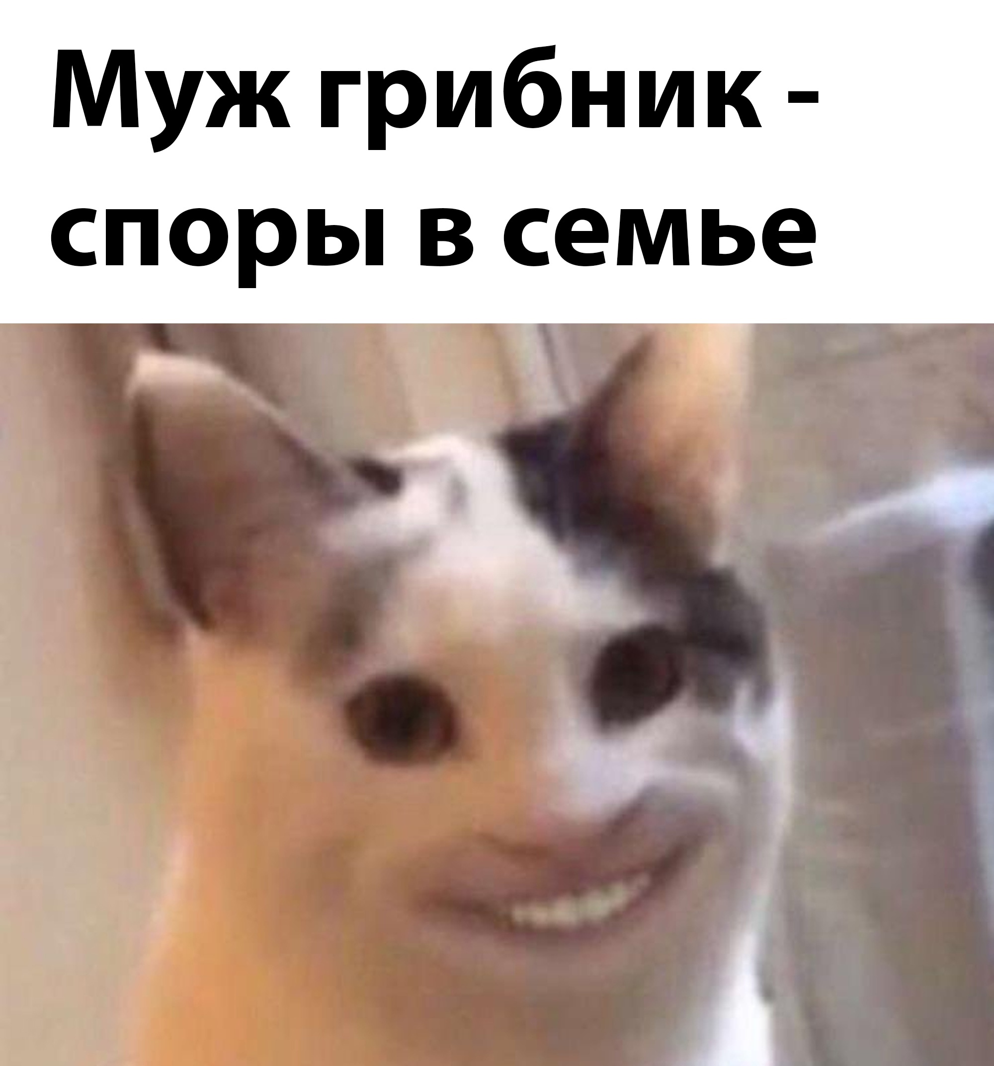 Анекдоты обо всем - Бодибилдинг форум AnabolicShops