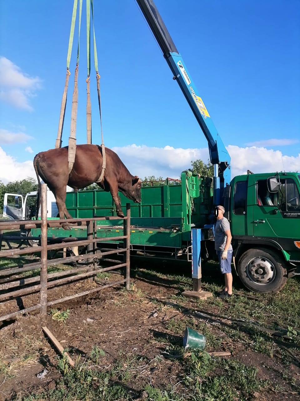 Мое утро - КОНКУРС - флешмоб - Бодибилдинг форум AnabolicShops