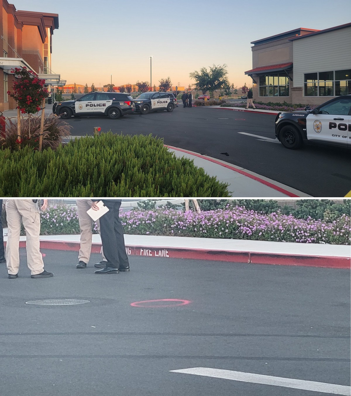 В круглосуточном тренажерном зале массовая драка - 4 раненых и застреленный - Бодибилдинг форум AnabolicShops