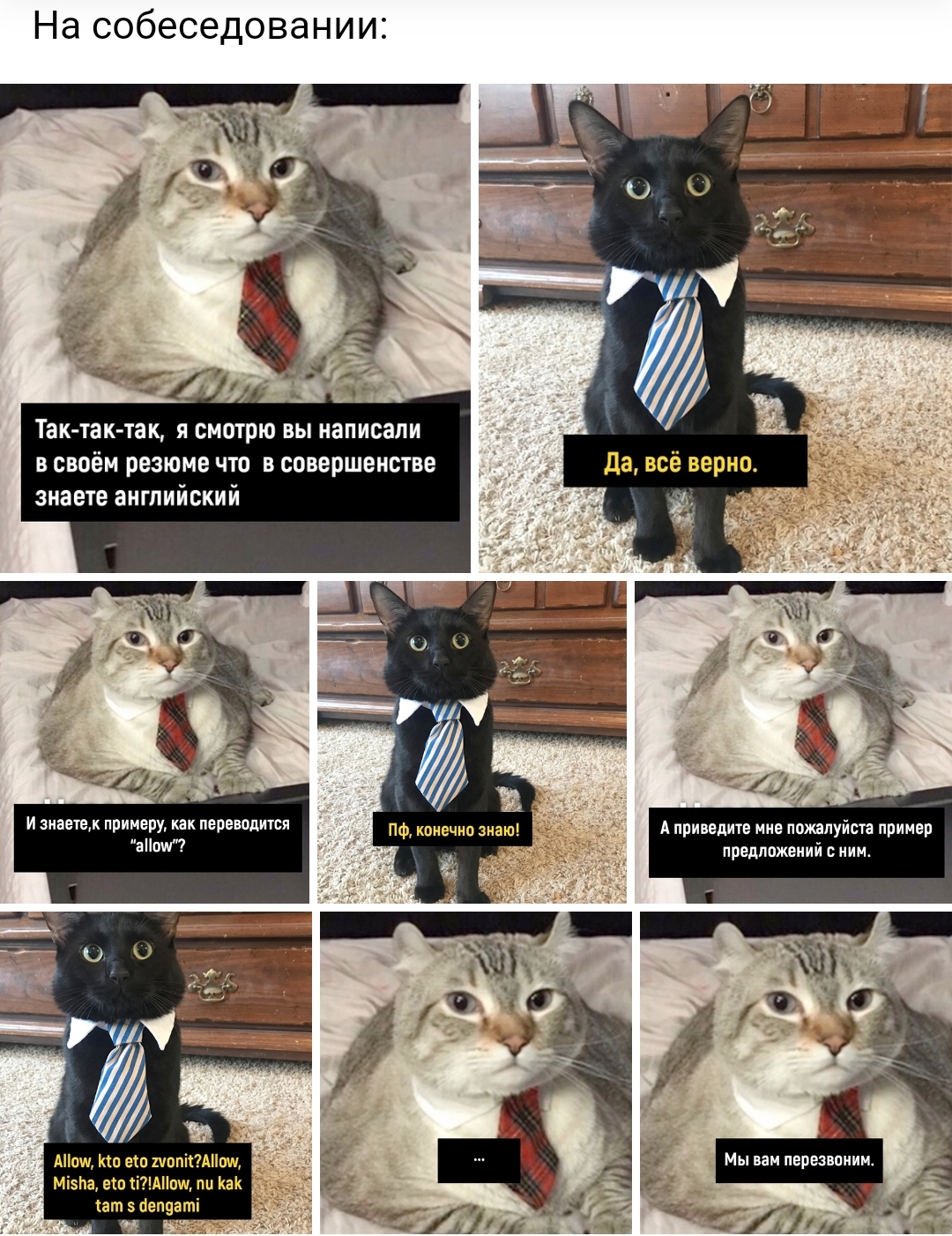 Анекдоты обо всем - Бодибилдинг форум AnabolicShops