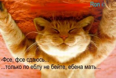 Анекдоты обо всем - Бодибилдинг форум AnabolicShops