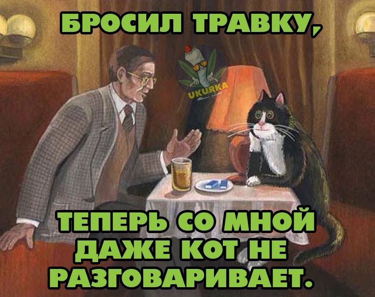 Анекдоты обо всем - Бодибилдинг форум AnabolicShops