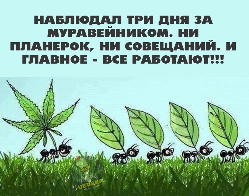 Анекдоты обо всем - Бодибилдинг форум AnabolicShops