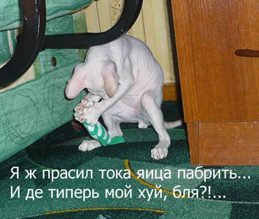 Анекдоты обо всем - Бодибилдинг форум AnabolicShops