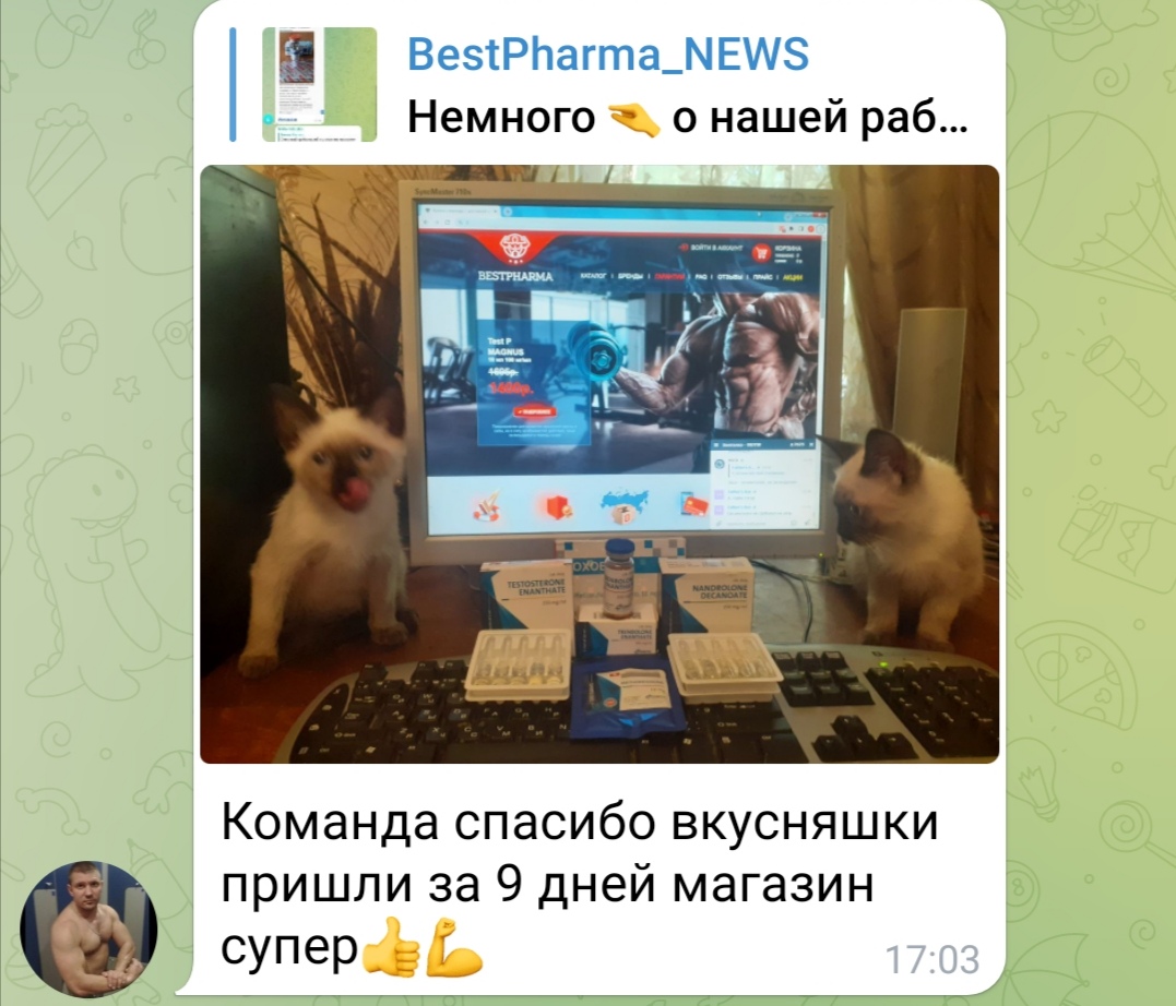 bestpharma.life - Бодибилдинг форум AnabolicShops