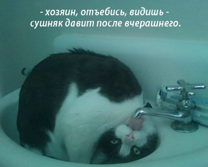 Анекдоты обо всем - Бодибилдинг форум AnabolicShops