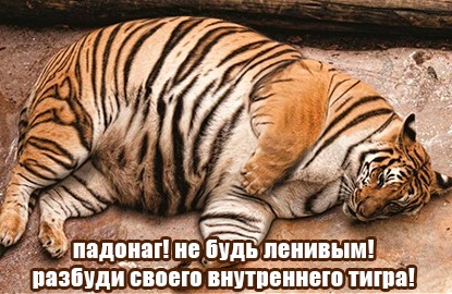 Анекдоты обо всем - Бодибилдинг форум AnabolicShops