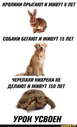 Анекдоты обо всем - Бодибилдинг форум AnabolicShops