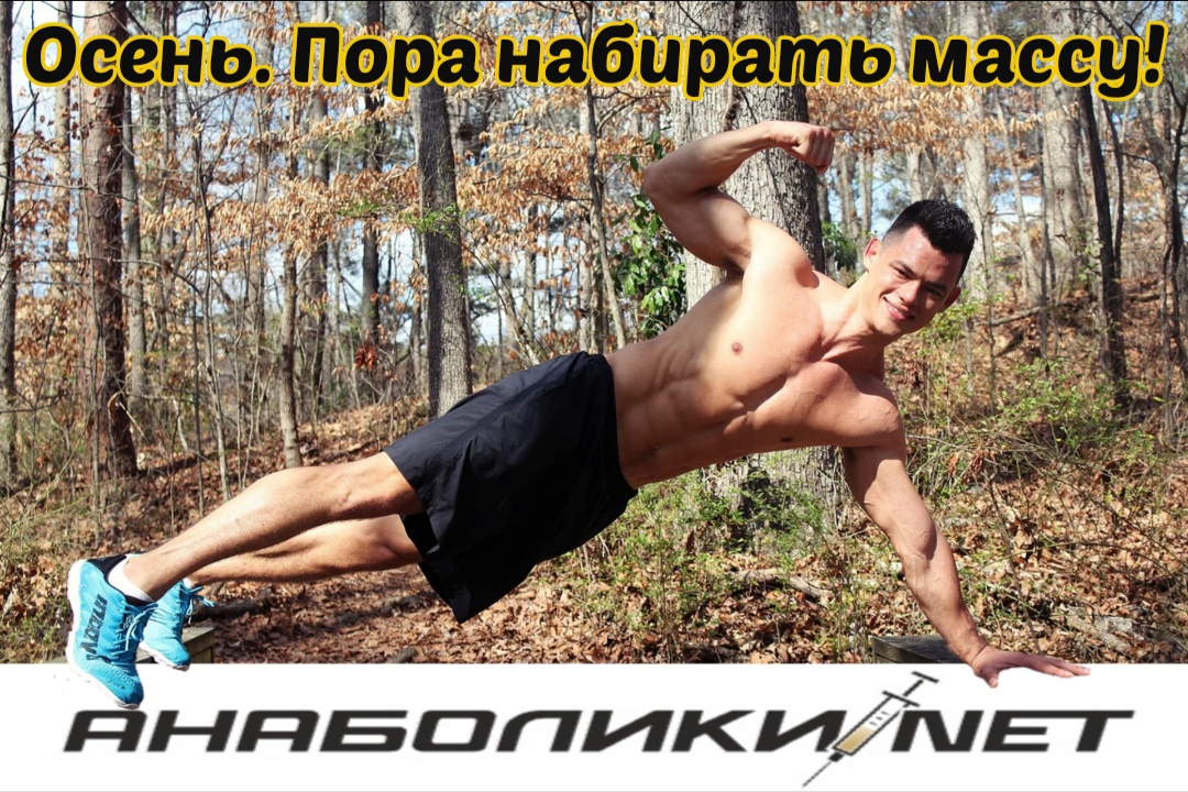 АНАБОЛИКИ.net - оф.дилер SP, Zerox, Genetic, Magnus, Lyka ! - Бодибилдинг форум AnabolicShops