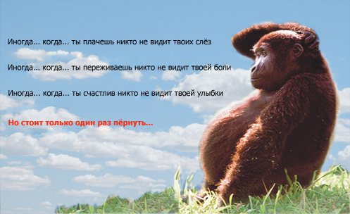 Анекдоты обо всем - Бодибилдинг форум AnabolicShops