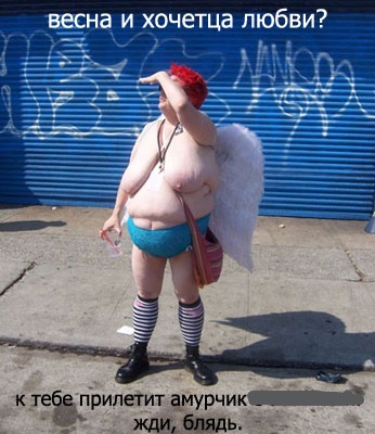 Анекдоты обо всем - Бодибилдинг форум AnabolicShops