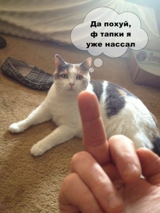 Анекдоты обо всем - Бодибилдинг форум AnabolicShops