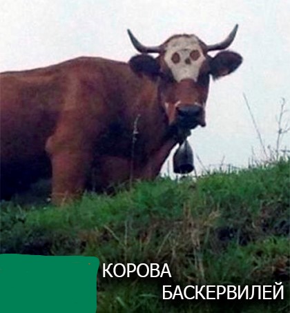 Анекдоты обо всем - Бодибилдинг форум AnabolicShops