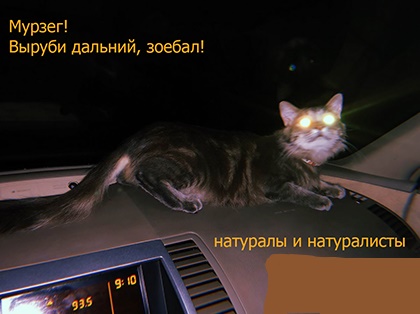 Анекдоты обо всем - Бодибилдинг форум AnabolicShops