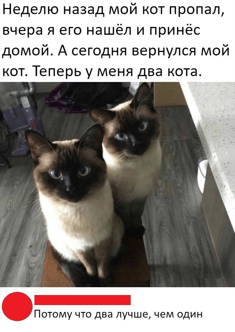 Анекдоты обо всем - Бодибилдинг форум AnabolicShops