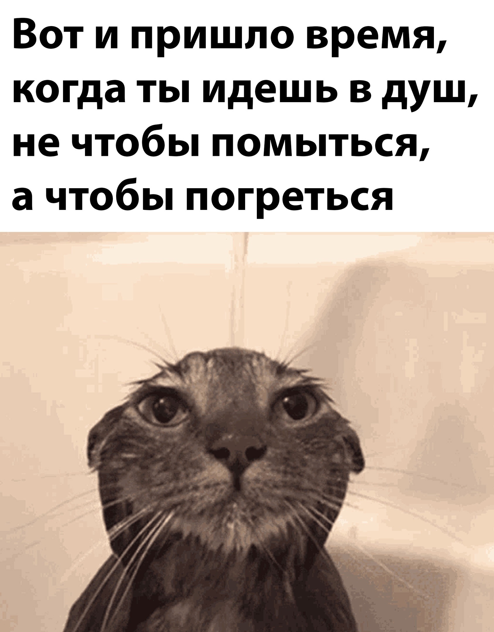 Анекдоты обо всем - Бодибилдинг форум AnabolicShops