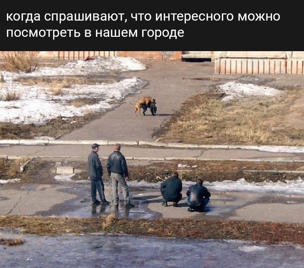 Анекдоты обо всем - Бодибилдинг форум AnabolicShops