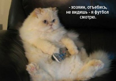 Анекдоты обо всем - Бодибилдинг форум AnabolicShops