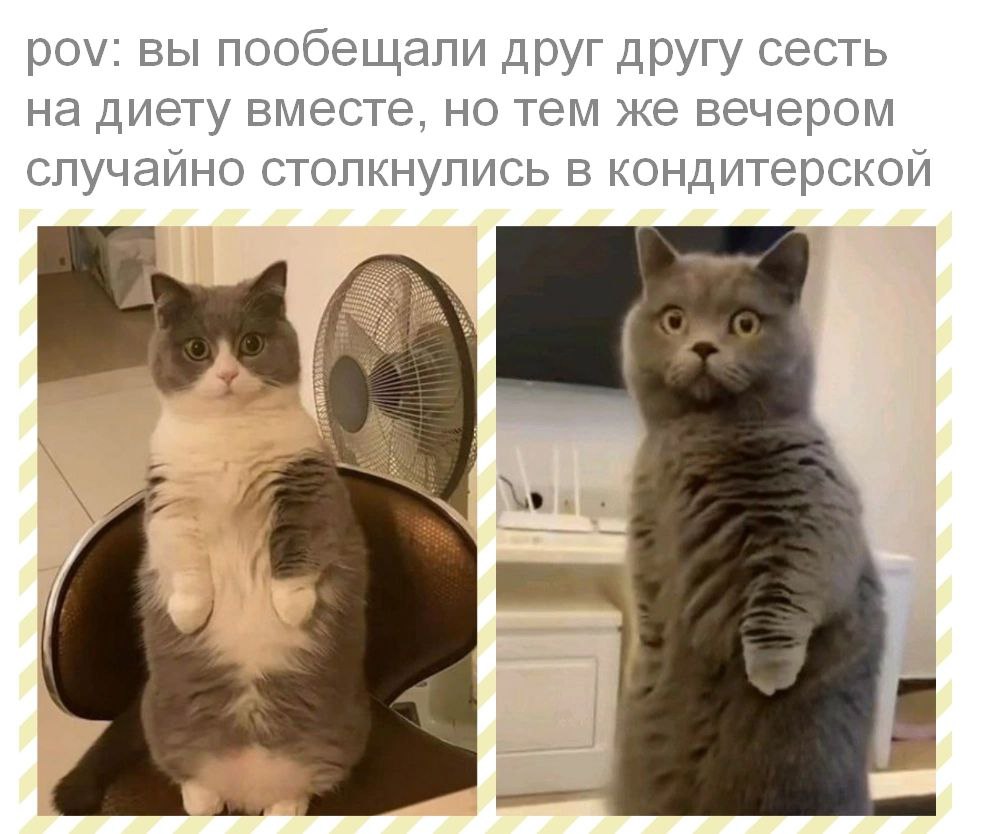 Анекдоты обо всем - Бодибилдинг форум AnabolicShops