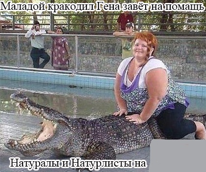 Анекдоты обо всем - Бодибилдинг форум AnabolicShops