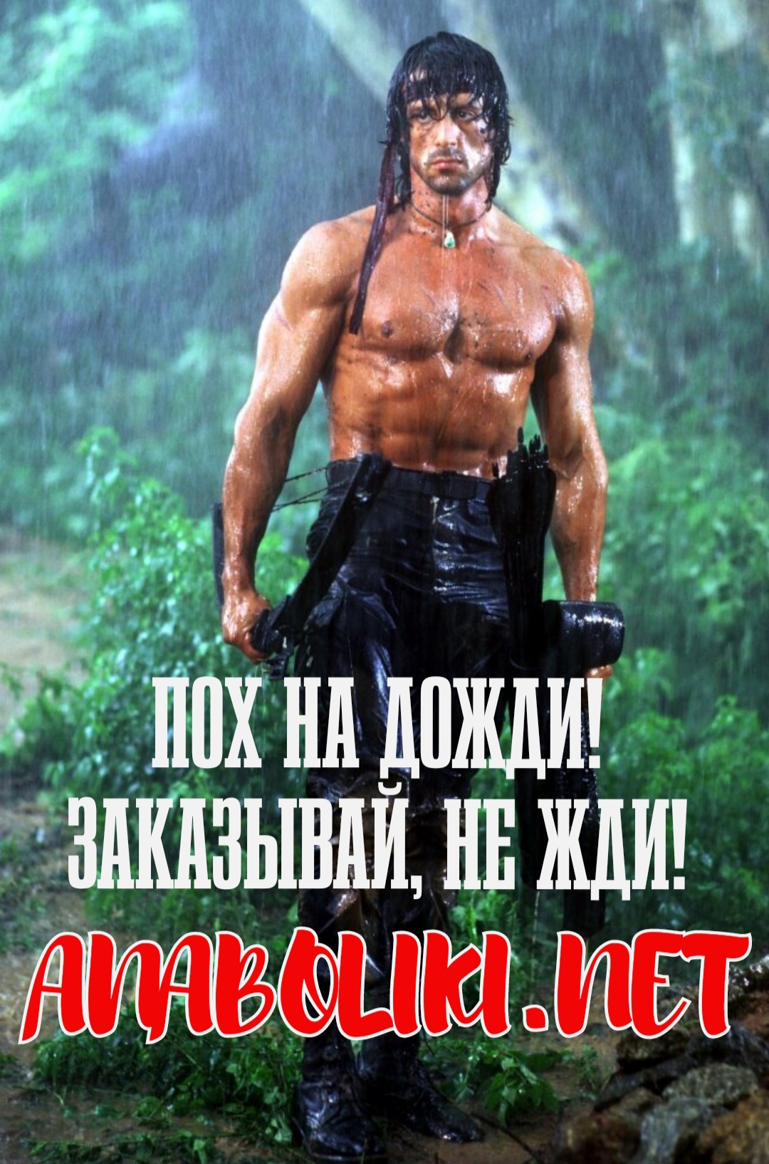 АНАБОЛИКИ.net - оф.дилер SP, Zerox, Genetic, Magnus, Lyka ! - Бодибилдинг форум AnabolicShops