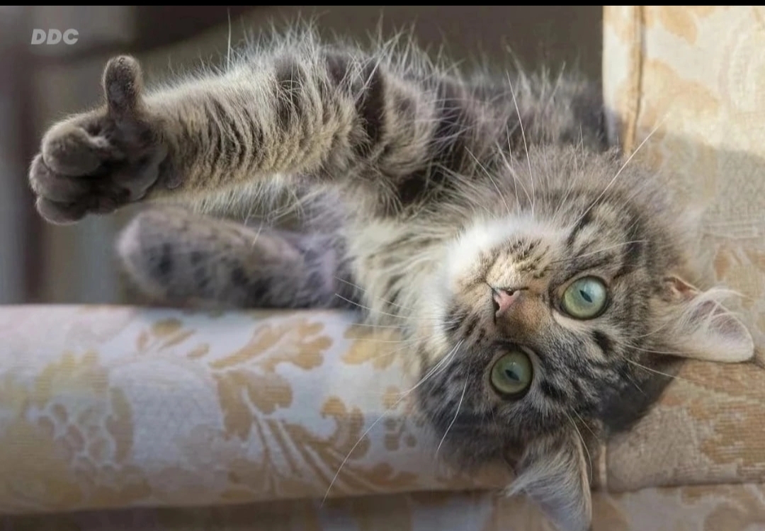 Курилка- разговоры на любые темы - Бодибилдинг форум AnabolicShops