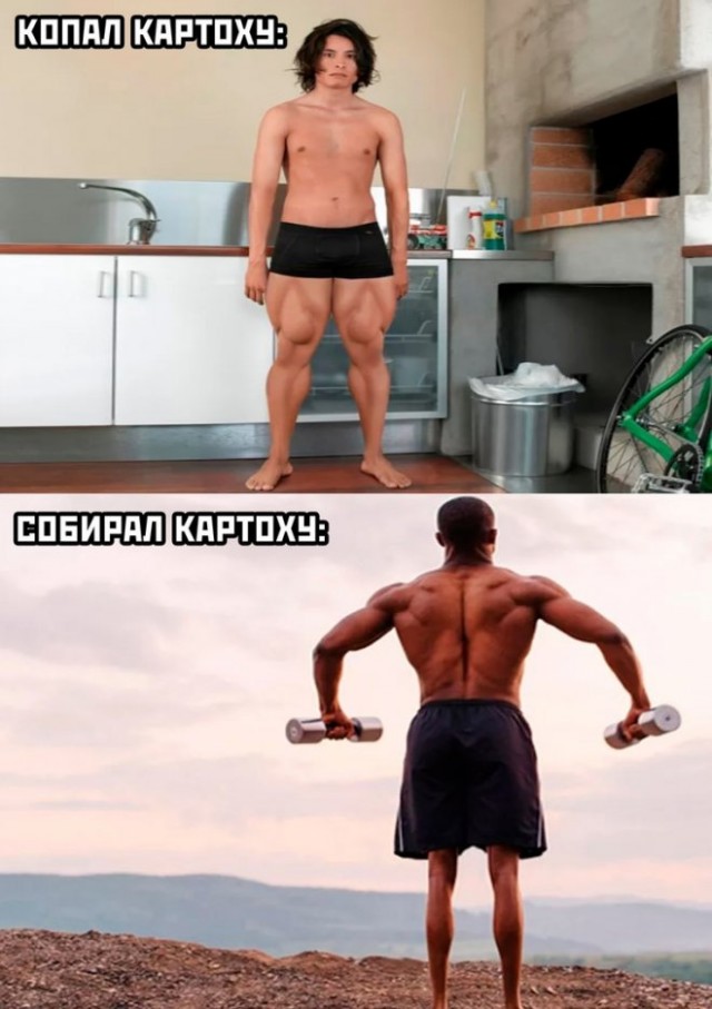 Курилка- разговоры на любые темы - Бодибилдинг форум AnabolicShops