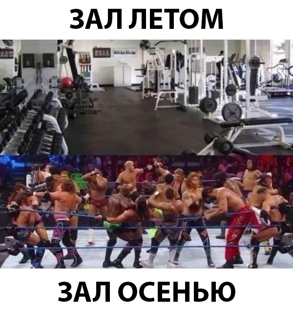 Анекдоты обо всем - Бодибилдинг форум AnabolicShops