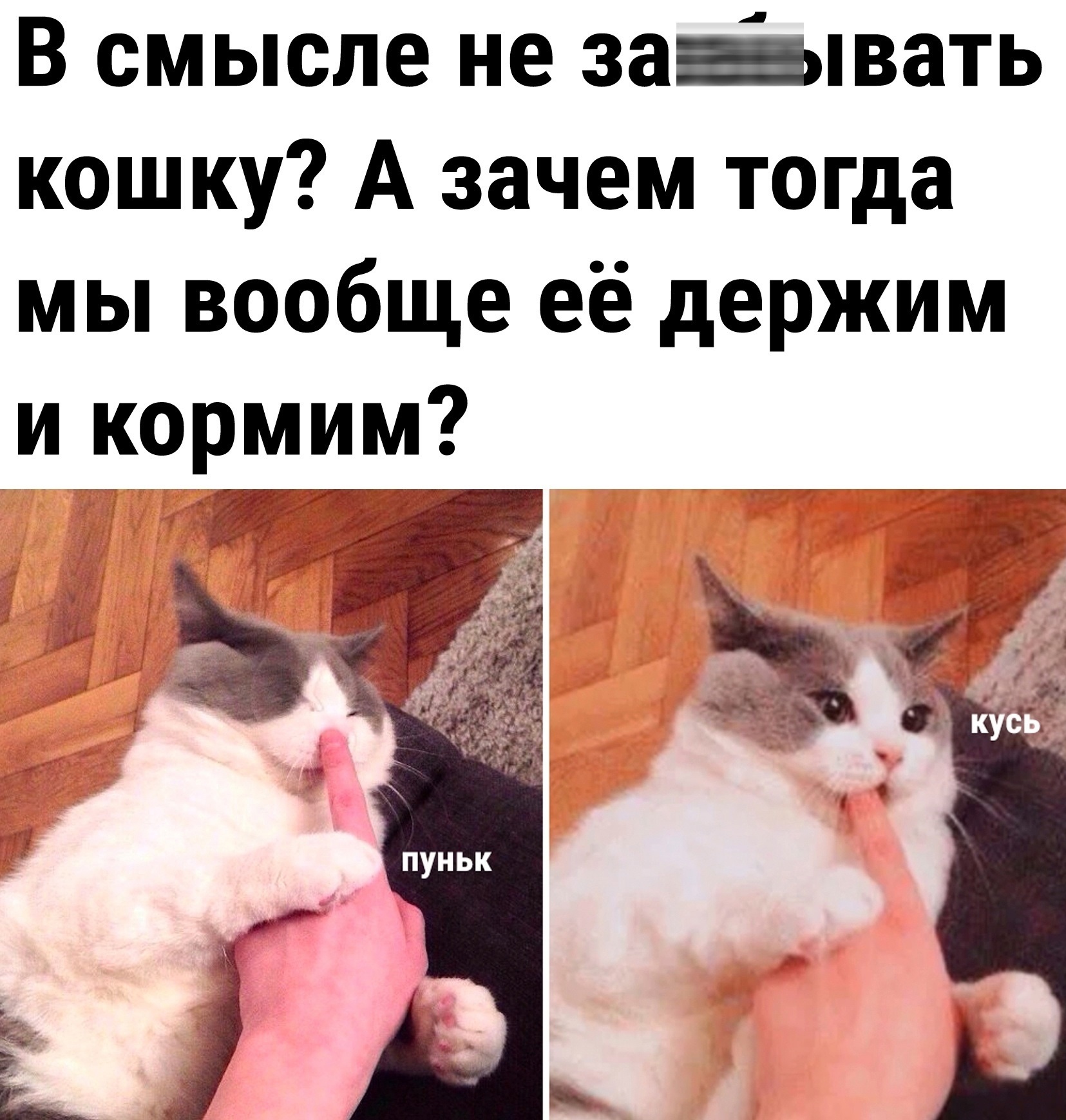 Анекдоты обо всем - Бодибилдинг форум AnabolicShops