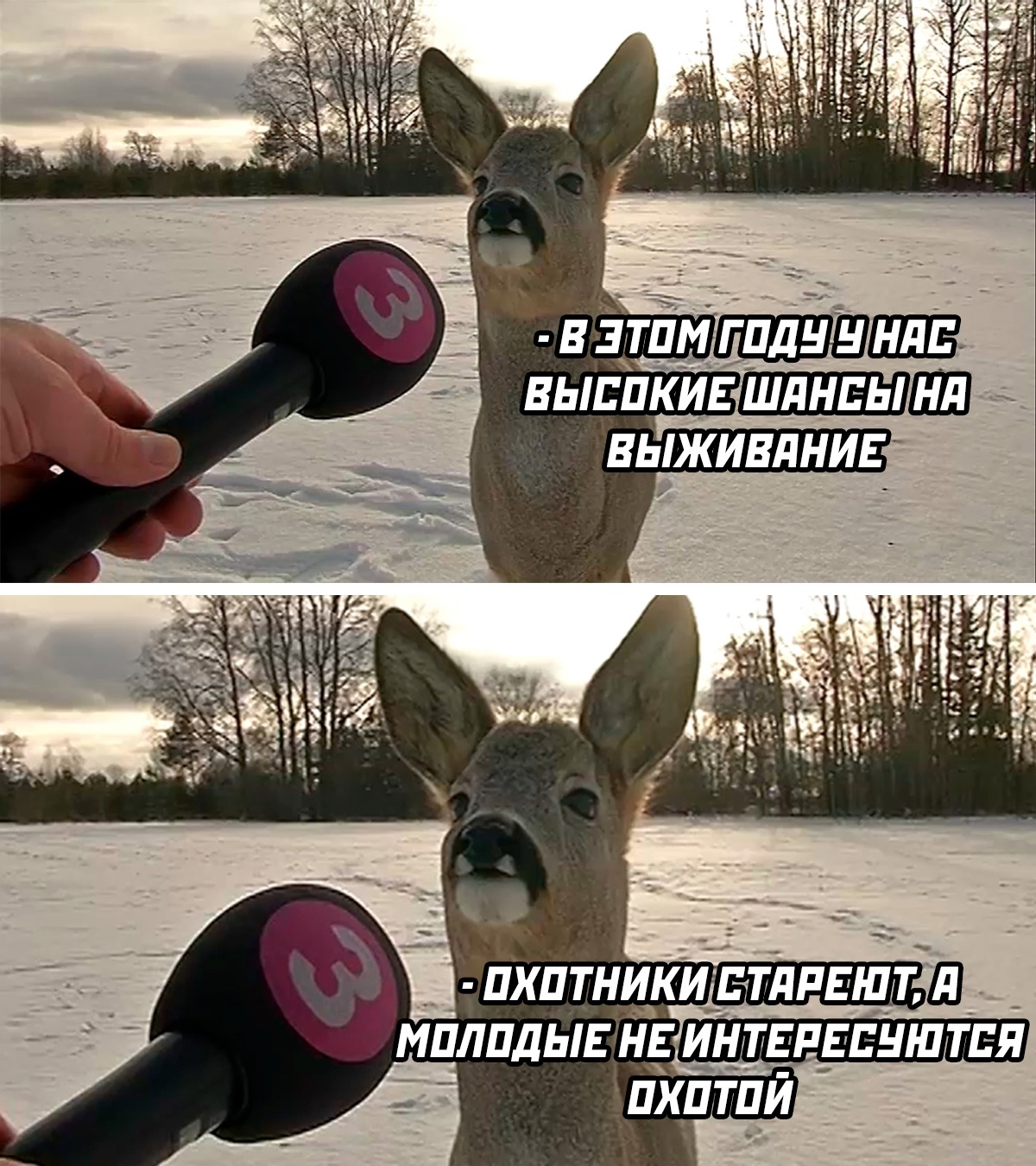 Анекдоты обо всем - Бодибилдинг форум AnabolicShops