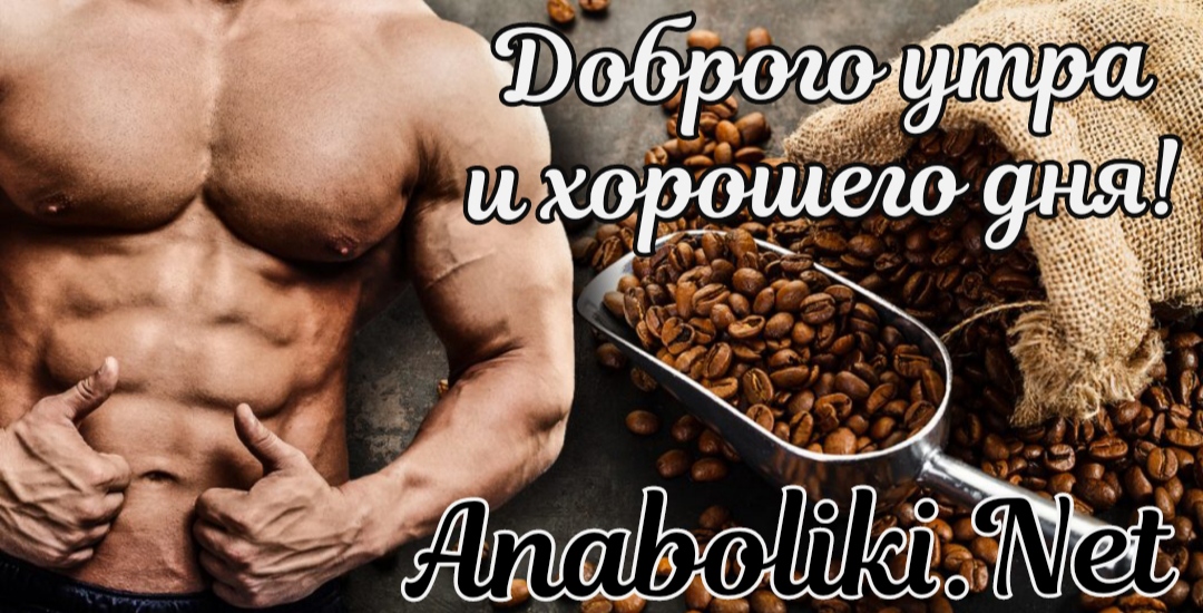 АНАБОЛИКИ.net - оф.дилер SP, Zerox, Genetic, Magnus, Lyka ! - Бодибилдинг форум AnabolicShops