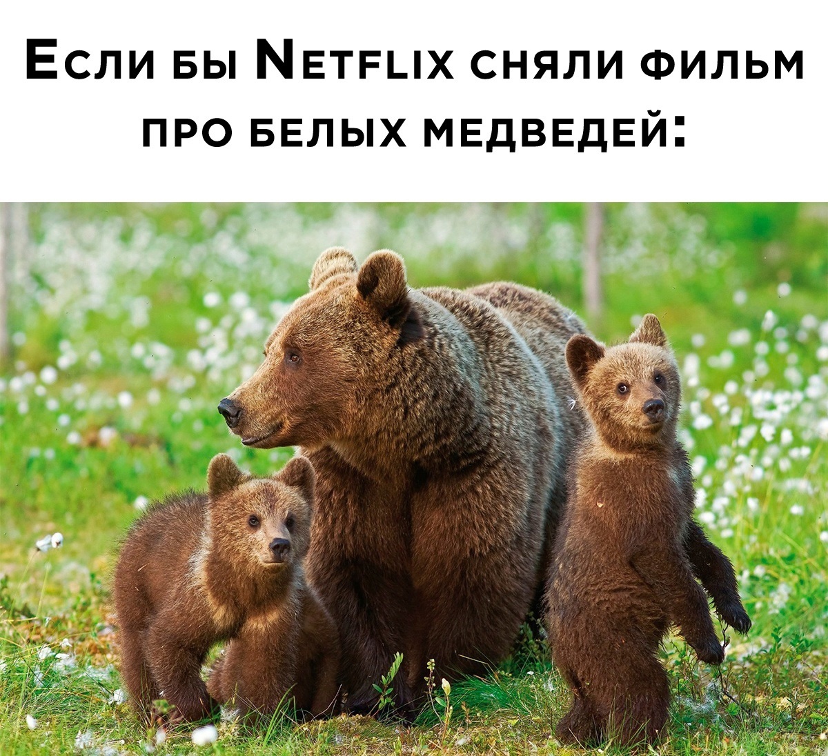 Анекдоты обо всем - Бодибилдинг форум AnabolicShops