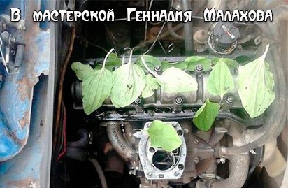 Анекдоты обо всем - Бодибилдинг форум AnabolicShops