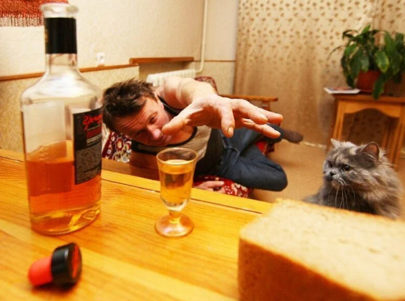 Новостной дайджест от 21.09.2022. - Бодибилдинг форум AnabolicShops