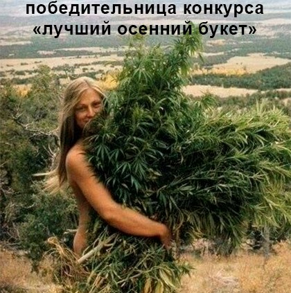 Анекдоты обо всем - Бодибилдинг форум AnabolicShops