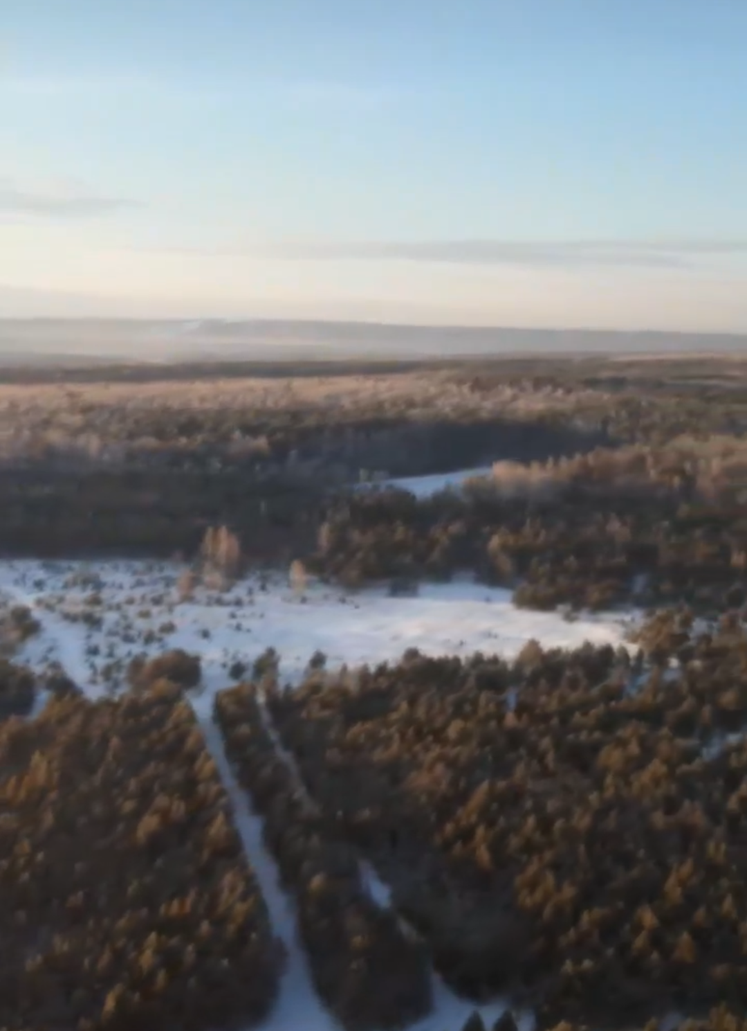 Магазин Фрэнка. Pharmacom Labs Official. Марка №1 в Мире! - Бодибилдинг форум AnabolicShops