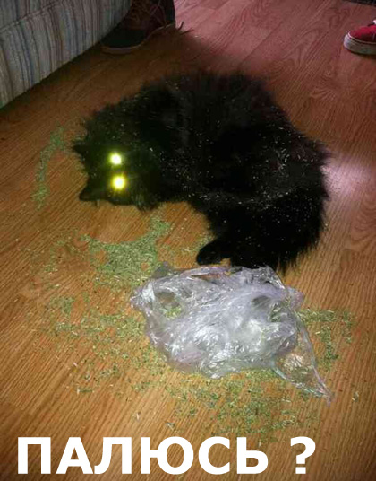 Анекдоты обо всем - Бодибилдинг форум AnabolicShops