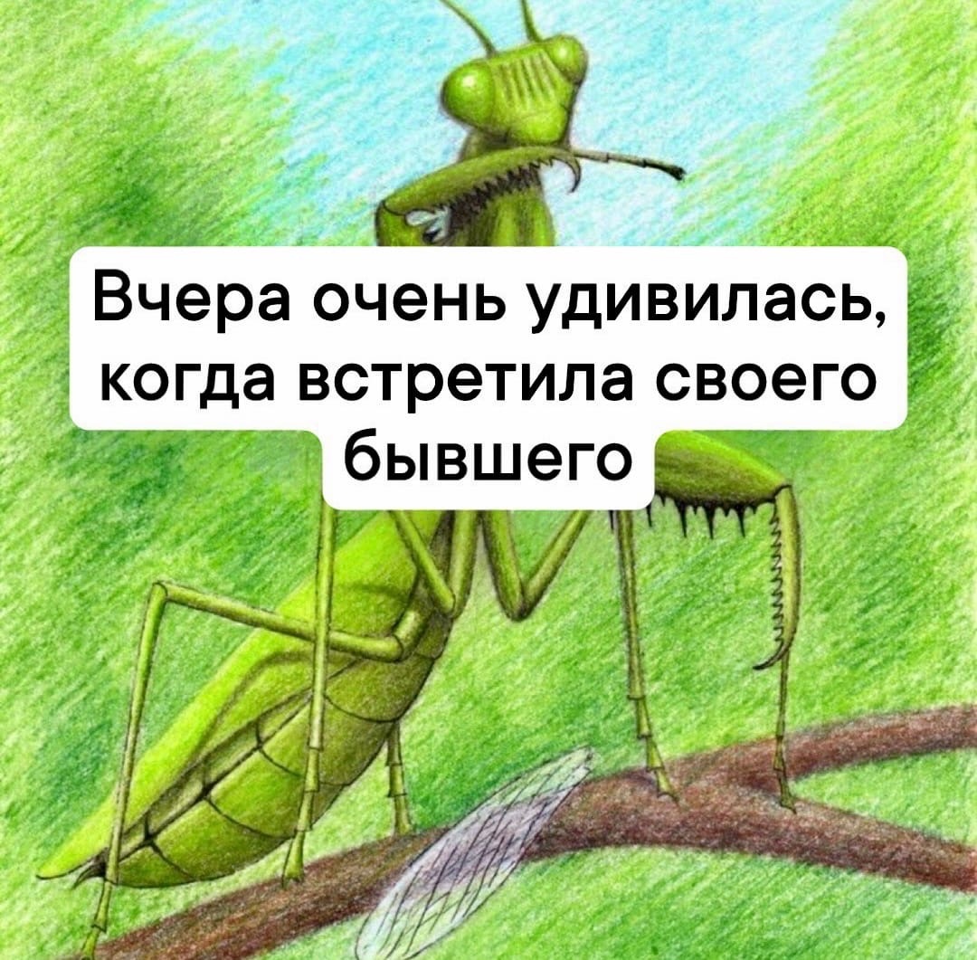 Анекдоты обо всем - Бодибилдинг форум AnabolicShops