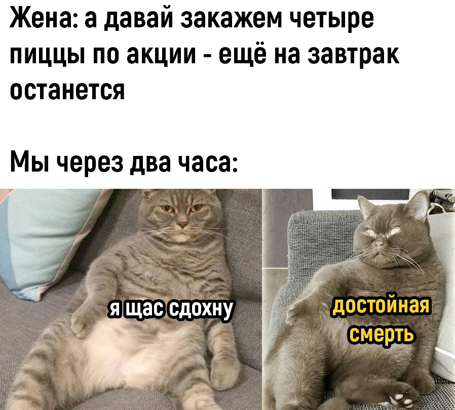 Анекдоты обо всем - Бодибилдинг форум AnabolicShops