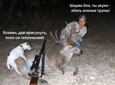 Курилка- разговоры на любые темы - Бодибилдинг форум AnabolicShops