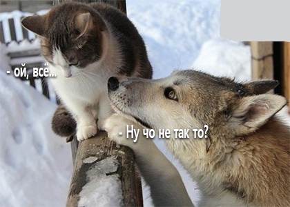 Анекдоты обо всем - Бодибилдинг форум AnabolicShops