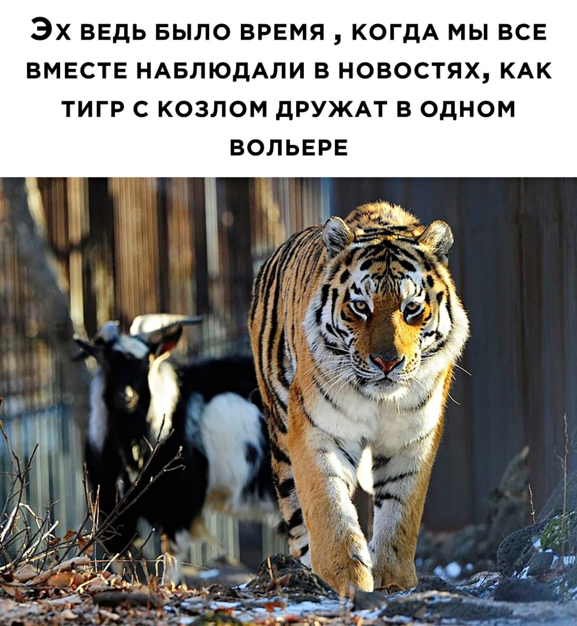 Анекдоты обо всем - Бодибилдинг форум AnabolicShops