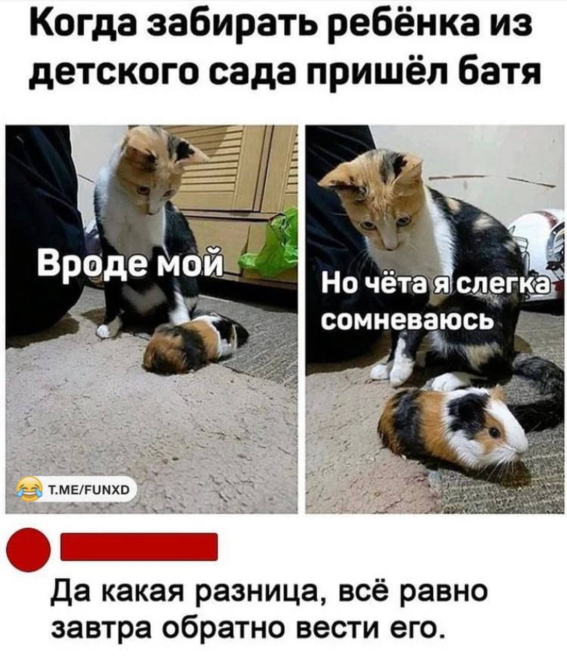 Анекдоты обо всем - Бодибилдинг форум AnabolicShops