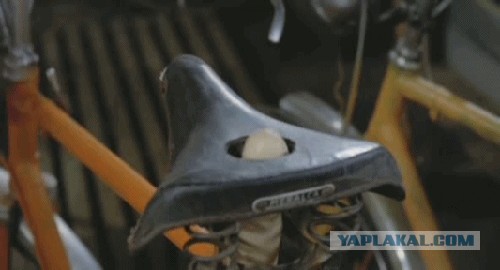 Курилка- разговоры на любые темы - Бодибилдинг форум AnabolicShops