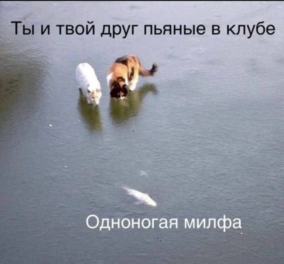 Анекдоты обо всем - Бодибилдинг форум AnabolicShops