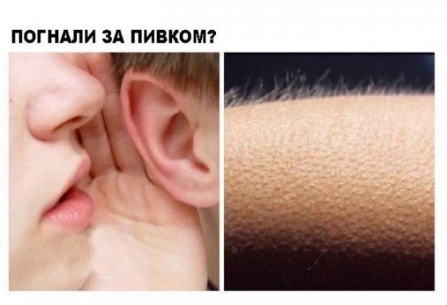 Курилка- разговоры на любые темы - Бодибилдинг форум AnabolicShops