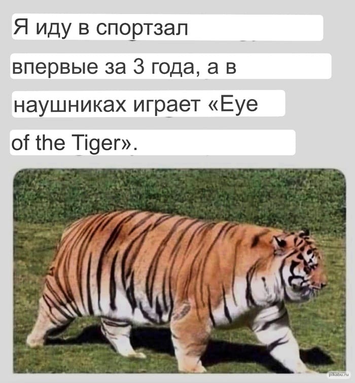 Анекдоты обо всем - Бодибилдинг форум AnabolicShops